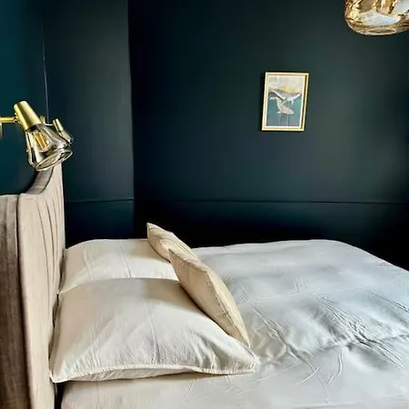 アパート Bel Climatise En Plein Coeur De リール