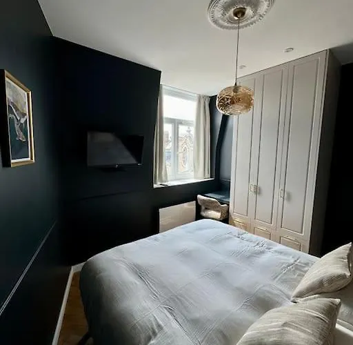 Bel Climatise En Plein Coeur De Apartman Lille