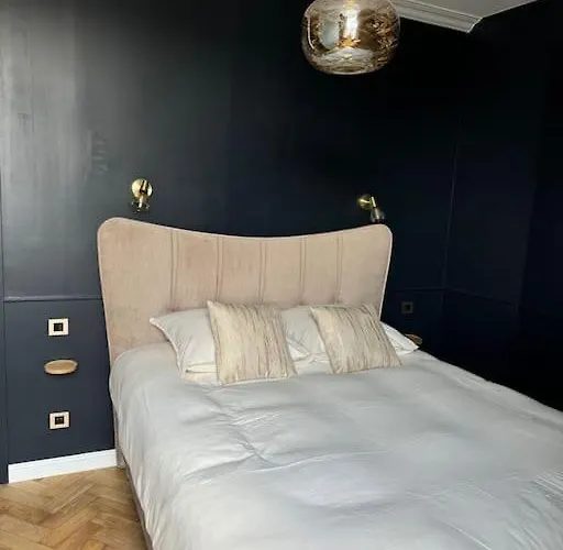 Bel Climatise En Plein Coeur De Apartman