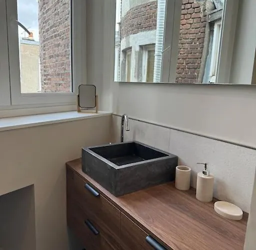 Bel Climatise En Plein Coeur De Apartman *