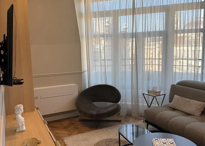 Apartman Bel Climatise En Plein Coeur De Lille
