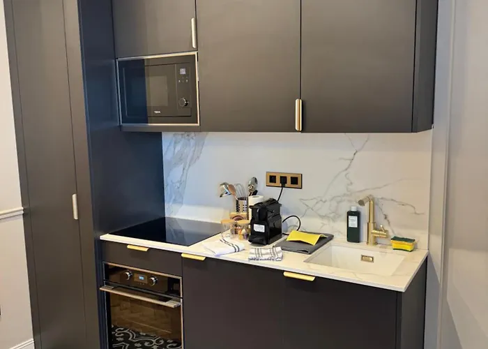 Apartman Bel Climatise En Plein Coeur De Lille