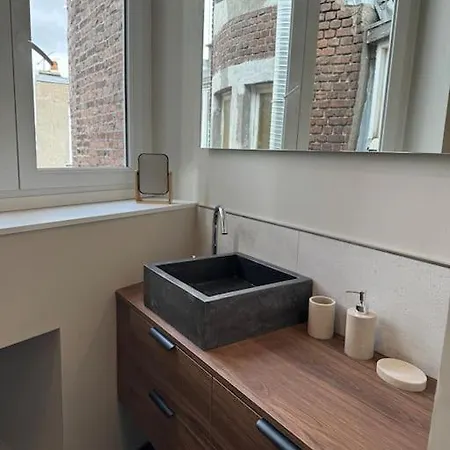 Bel Climatise En Plein Coeur De Apartmán *