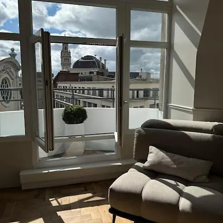 Bel Climatise En Plein Coeur De Apartmán *